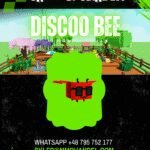 Discoo Bee