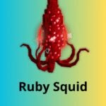 Ruby Squid