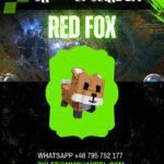 Red Fox