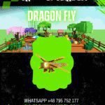 Dragon Fly