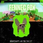 Fennec Fox
