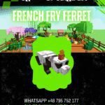 French Fry Ferret