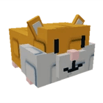 hamster