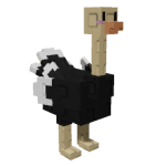ostrich