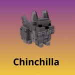 Chinchilla