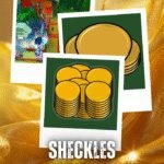 900SX Sheckles